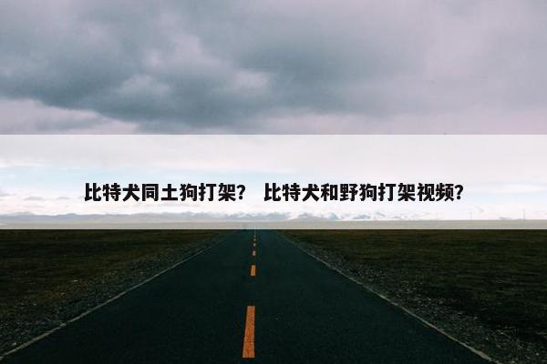 比特犬同土狗打架？ 比特犬和野狗打架视频？