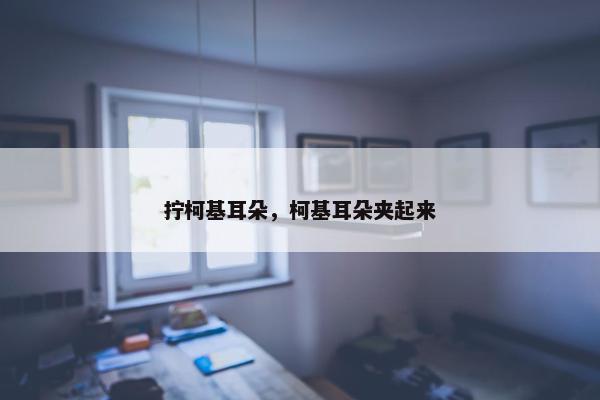 拧柯基耳朵，柯基耳朵夹起来