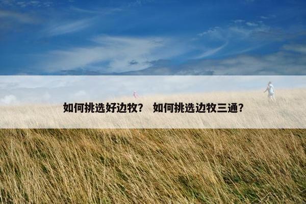 如何挑选好边牧？ 如何挑选边牧三通？