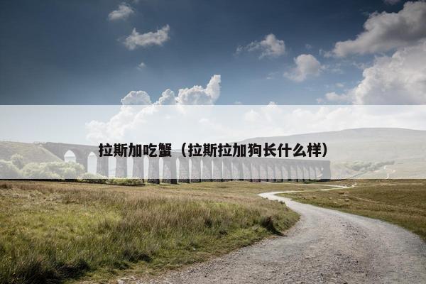 拉斯加吃蟹（拉斯拉加狗长什么样）