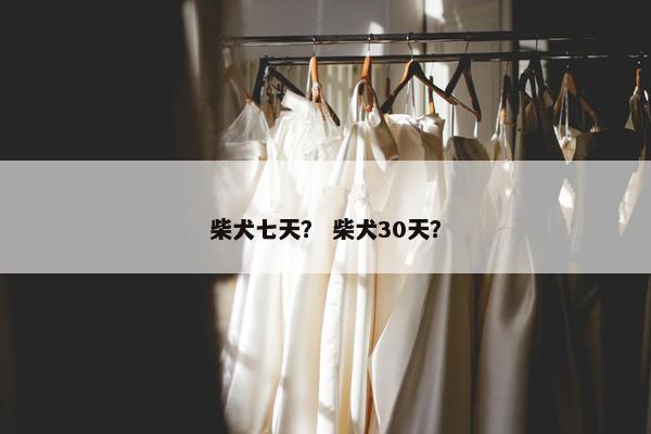柴犬七天？ 柴犬30天？
