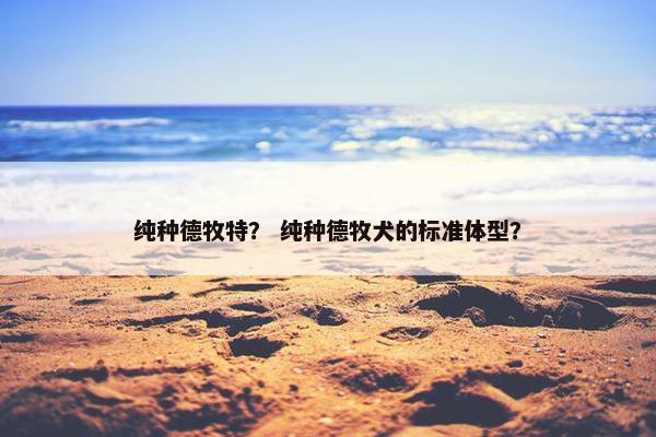 纯种德牧特？ 纯种德牧犬的标准体型？