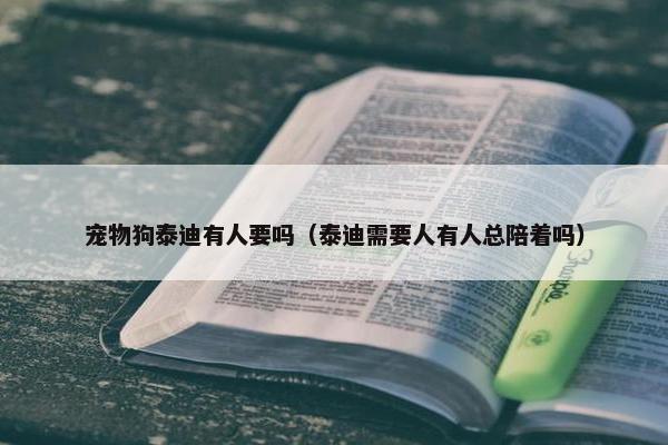 宠物狗泰迪有人要吗（泰迪需要人有人总陪着吗）