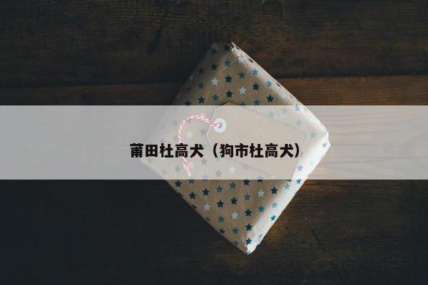 莆田杜高犬（狗市杜高犬）