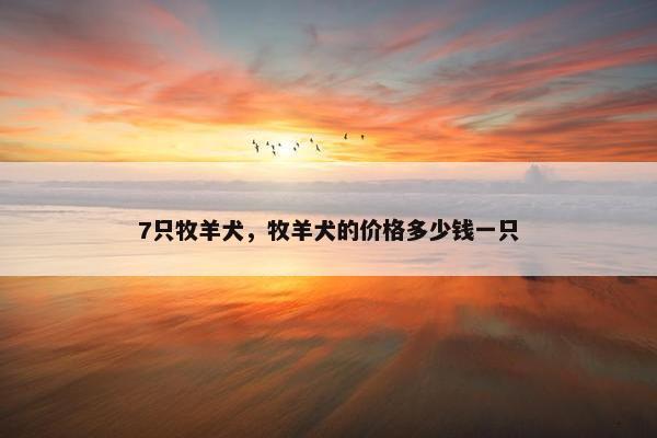7只牧羊犬，牧羊犬的价格多少钱一只