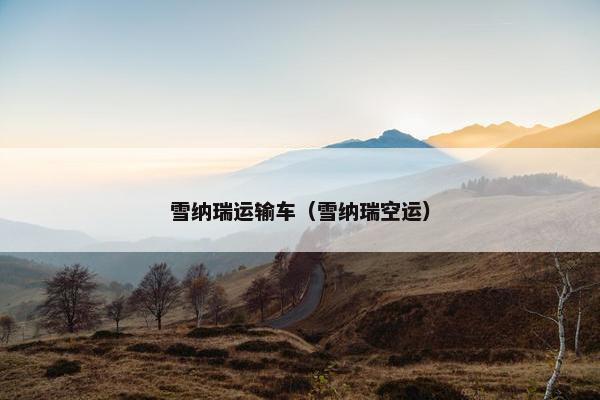 雪纳瑞运输车（雪纳瑞空运）
