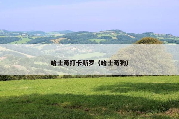 哈士奇打卡斯罗（哈士奇狗）