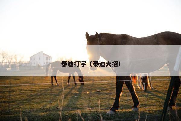 泰迪打字（泰迪大招）
