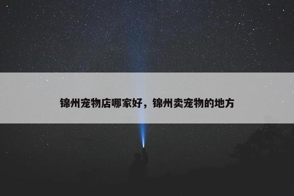 锦州宠物店哪家好，锦州卖宠物的地方
