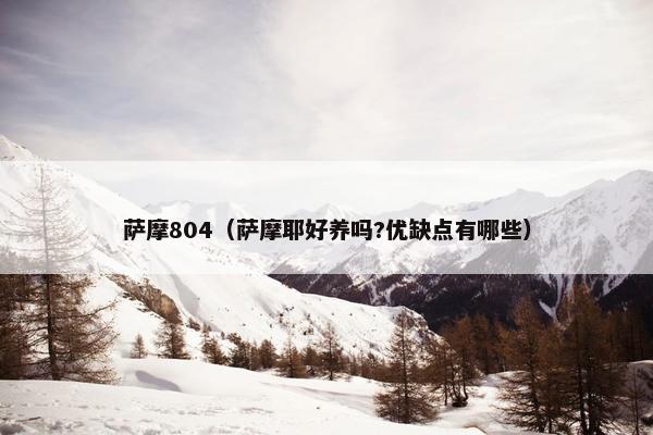萨摩804（萨摩耶好养吗?优缺点有哪些）