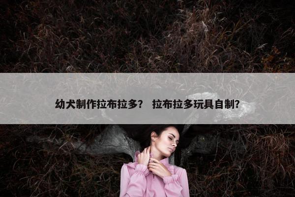 幼犬制作拉布拉多？ 拉布拉多玩具自制？