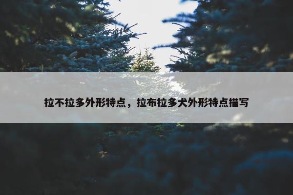 拉不拉多外形特点，拉布拉多犬外形特点描写
