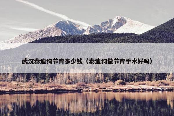 武汉泰迪狗节育多少钱（泰迪狗做节育手术好吗）