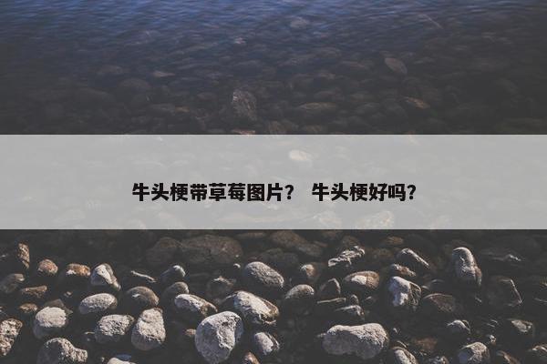 牛头梗带草莓图片？ 牛头梗好吗？