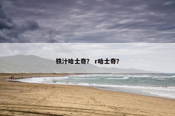 铁汁哈士奇？ r哈士奇？