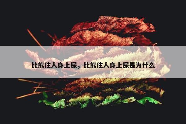 比熊往人身上尿，比熊往人身上尿是为什么