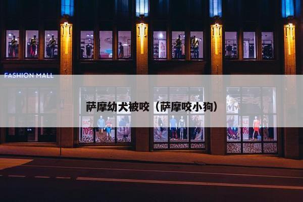 萨摩幼犬被咬（萨摩咬小狗）