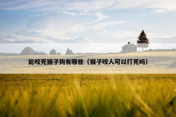 能咬死猴子狗有哪些（猴子咬人可以打死吗）