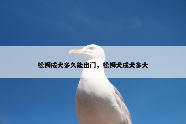 松狮成犬多久能出门，松狮犬成犬多大