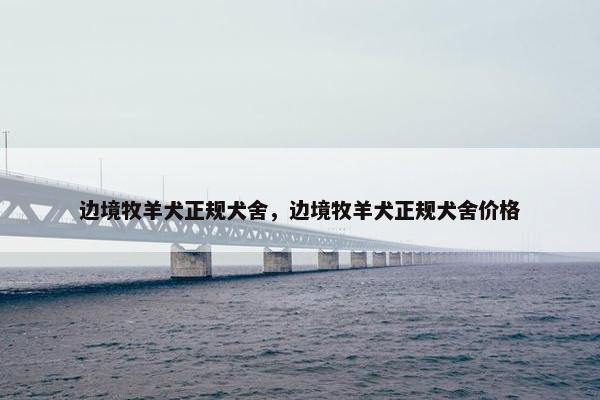 边境牧羊犬正规犬舍，边境牧羊犬正规犬舍价格