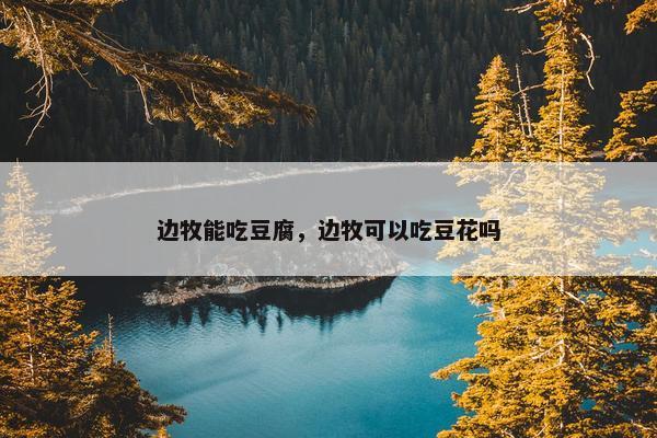 边牧能吃豆腐，边牧可以吃豆花吗