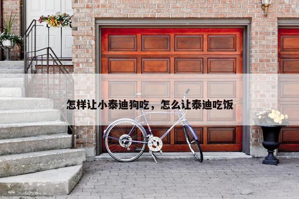 怎样让小泰迪狗吃，怎么让泰迪吃饭