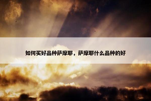 如何买好品种萨摩耶，萨摩耶什么品种的好