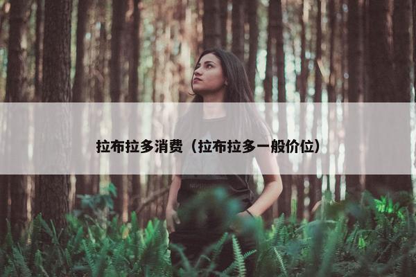 拉布拉多消费（拉布拉多一般价位）