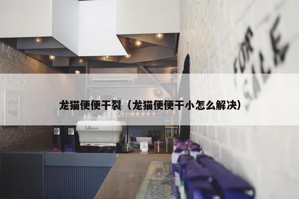 龙猫便便干裂（龙猫便便干小怎么解决）
