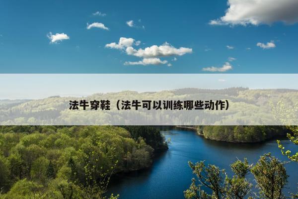 法牛穿鞋（法牛可以训练哪些动作）
