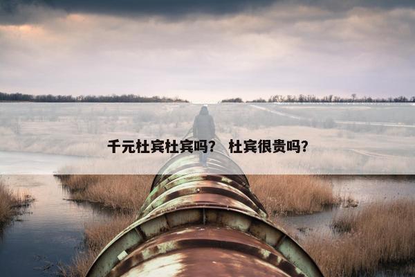 千元杜宾杜宾吗？ 杜宾很贵吗？