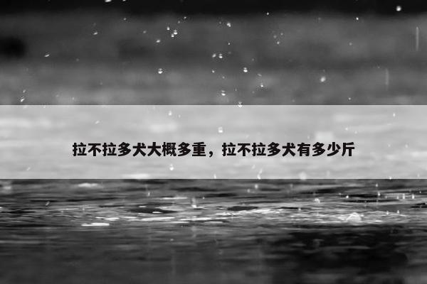 拉不拉多犬大概多重，拉不拉多犬有多少斤
