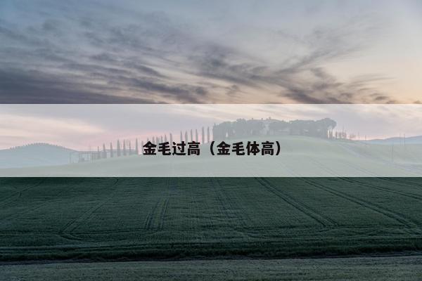 金毛过高（金毛体高）