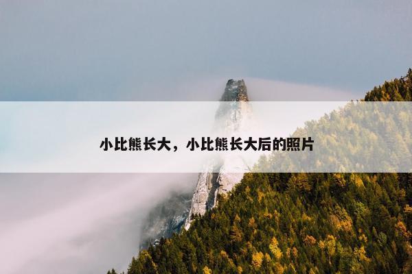 小比熊长大，小比熊长大后的照片