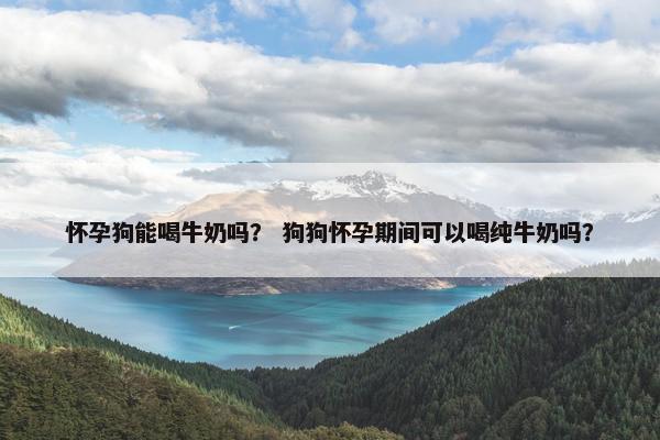 怀孕狗能喝牛奶吗？ 狗狗怀孕期间可以喝纯牛奶吗？