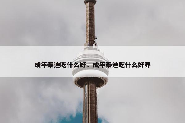 成年泰迪吃什么好，成年泰迪吃什么好养