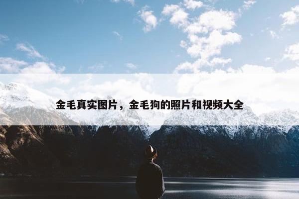 金毛真实图片，金毛狗的照片和视频大全