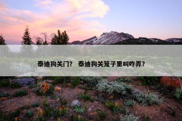 泰迪狗关门？ 泰迪狗关笼子里叫咋弄？