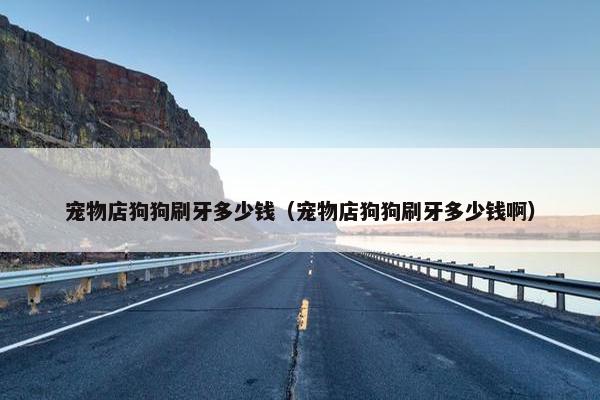 宠物店狗狗刷牙多少钱（宠物店狗狗刷牙多少钱啊）