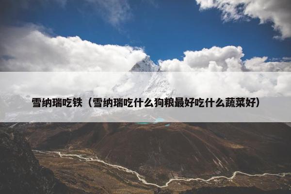 雪纳瑞吃铁（雪纳瑞吃什么狗粮最好吃什么蔬菜好）