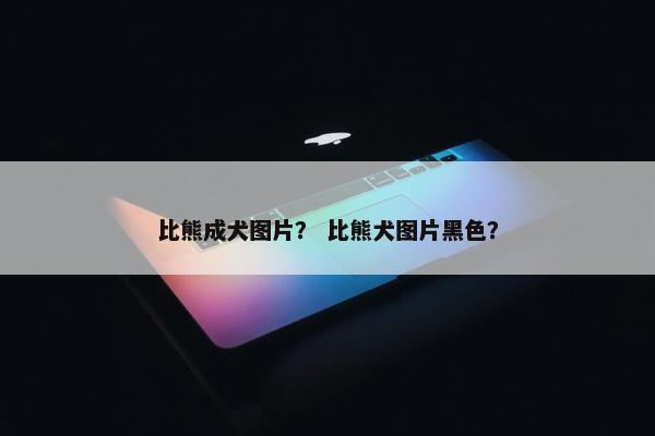 比熊成犬图片？ 比熊犬图片黑色？