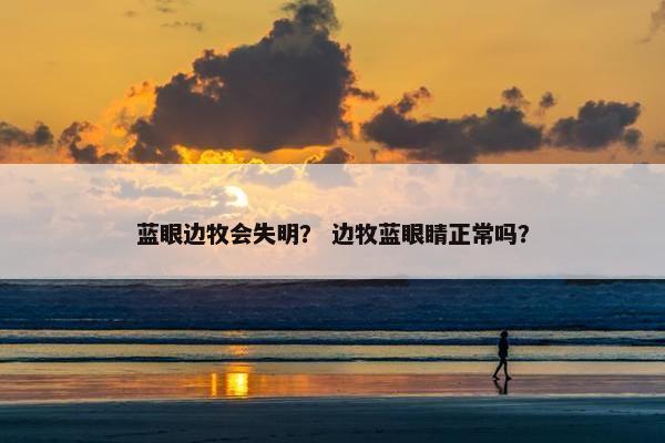 蓝眼边牧会失明？ 边牧蓝眼睛正常吗？