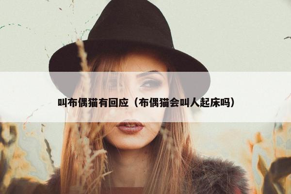 叫布偶猫有回应（布偶猫会叫人起床吗）