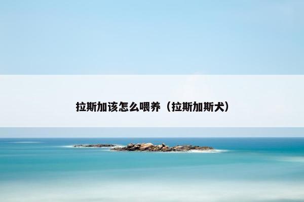 拉斯加该怎么喂养（拉斯加斯犬）