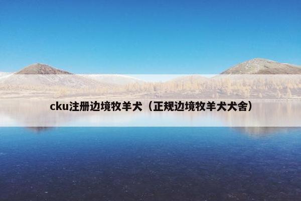 cku注册边境牧羊犬（正规边境牧羊犬犬舍）