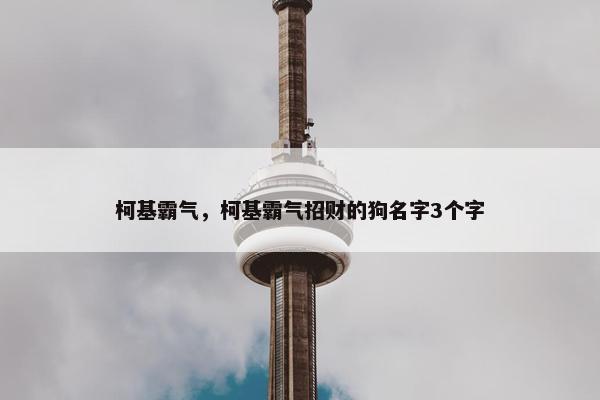 柯基霸气，柯基霸气招财的狗名字3个字