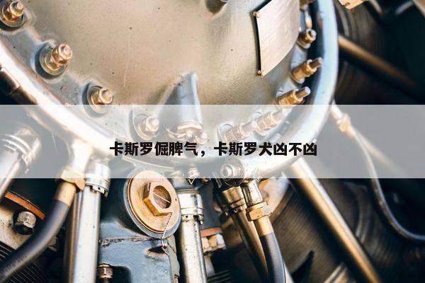 卡斯罗倔脾气，卡斯罗犬凶不凶