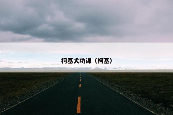 柯基犬功课（柯基）