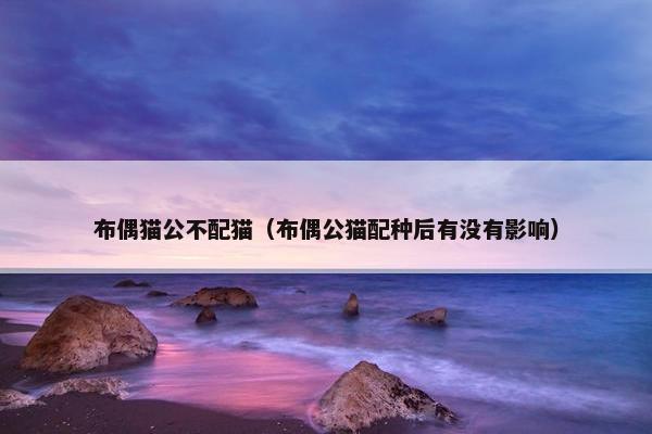 布偶猫公不配猫（布偶公猫配种后有没有影响）