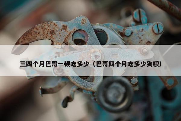 三四个月巴哥一顿吃多少（巴哥四个月吃多少狗粮）